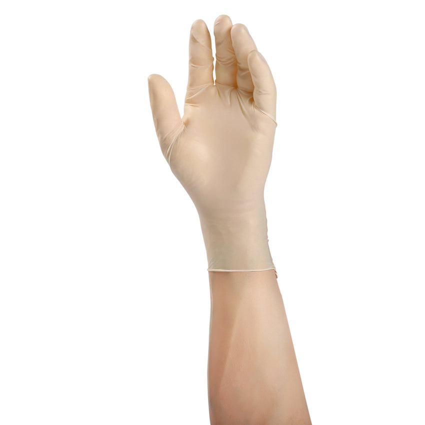 Chameleon Stretch Vinyl Gloves, Exam Grade, Powder Free, Glove On Hand