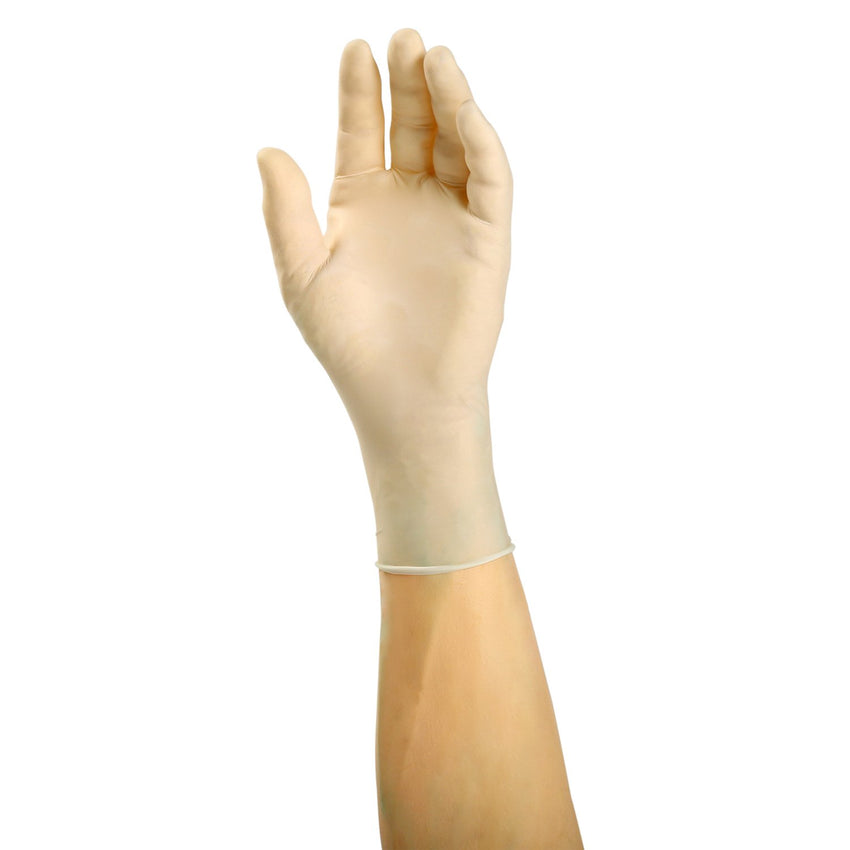 Apollo Latex Gloves, Powder Free, Glove On Hand