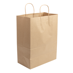 TWISTED HANDLE KRAFT PAPER BAG 13