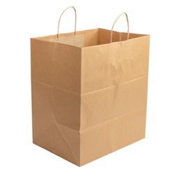 TWISTED HANDLE KRAFT PAPER BAG 14